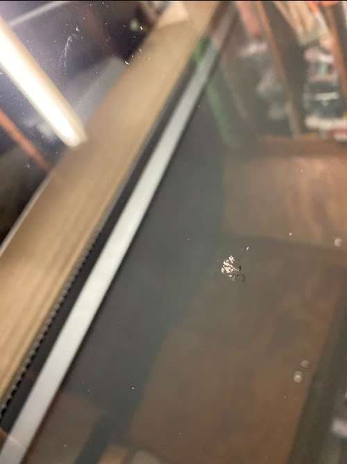 Image of Abe's Honest Windshield Repair