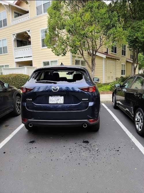 Image of Peter Pan Auto Glass