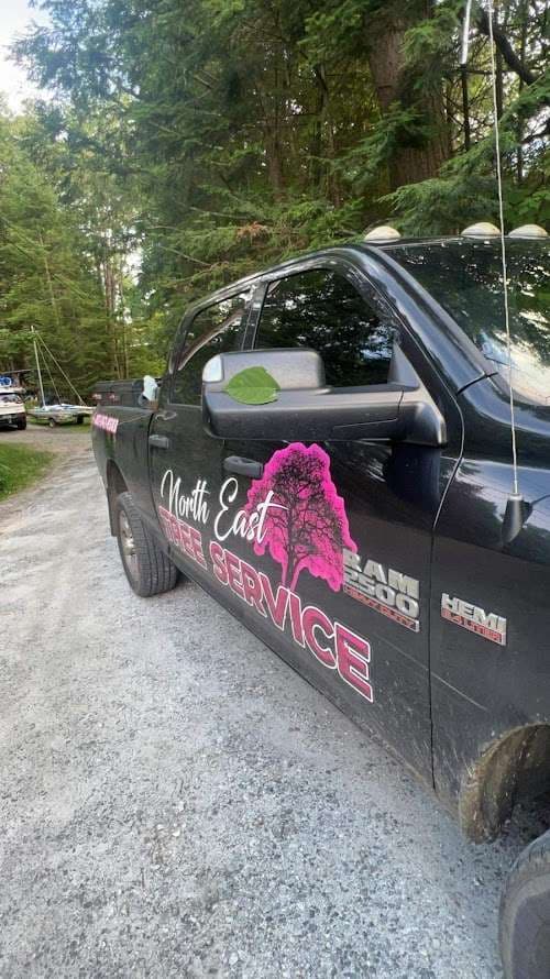 Image of New England Auto Glass LLC