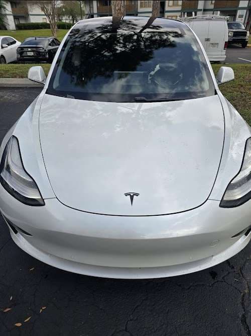 Image of LS Auto Glass, LLC