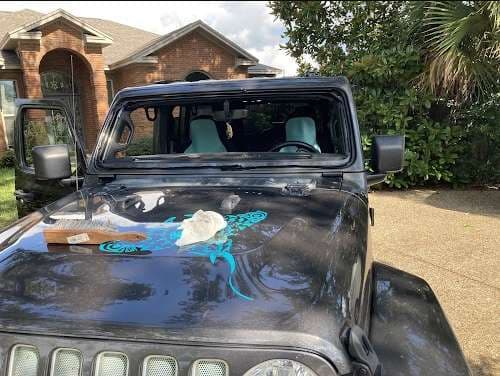 Image of Affordable Auto Glass