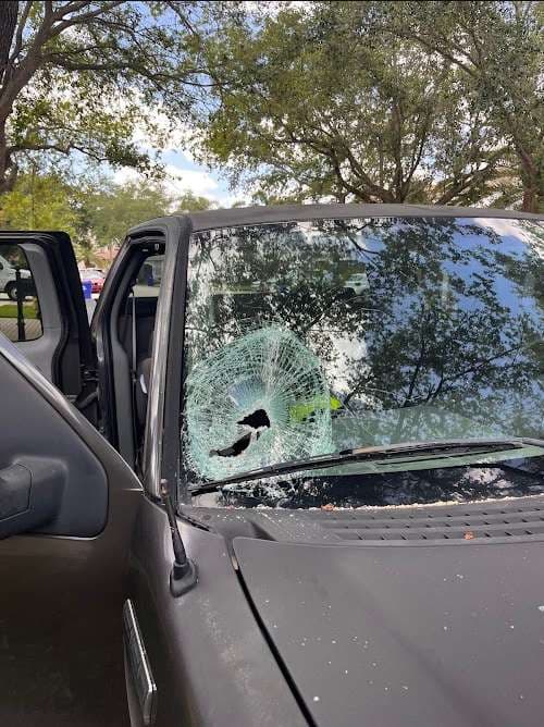 Image of Same Day Windshield