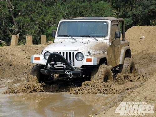 Image of Orange Blossom Auto Glass