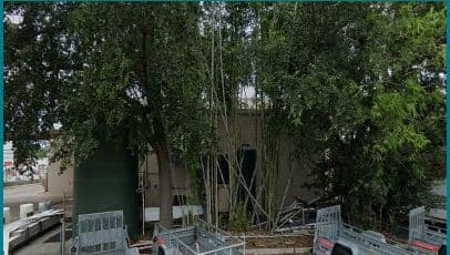 Image of Safety Check Windshield Repair