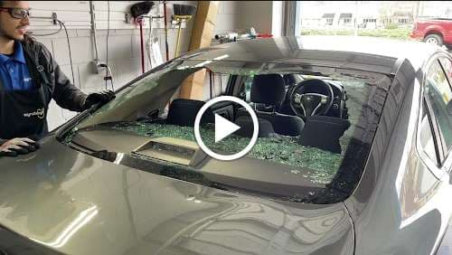 Image of Wyndshyld Auto Glass of East Cobb