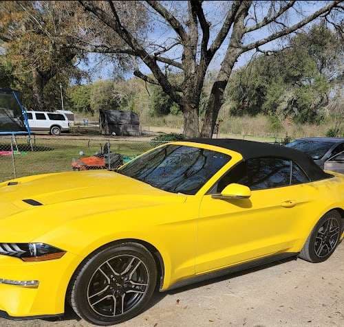 Image of Harrys Glass Co Windshield and door glass