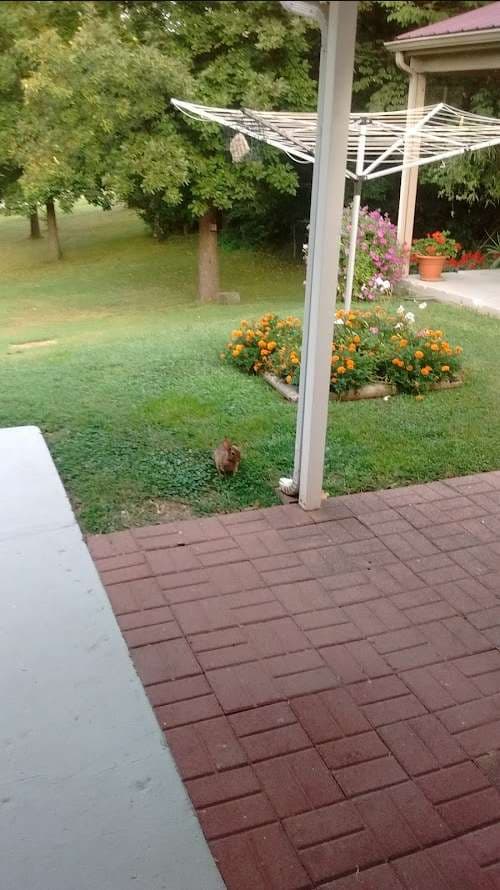 Image of Kennedy's Mobile Glass