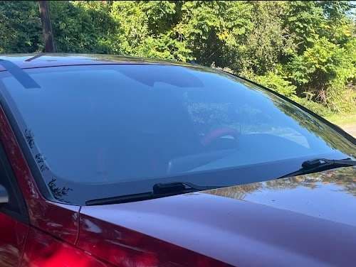 Image of Geaux Auto Glass