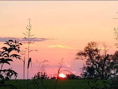 Image of A&L Auto Glass