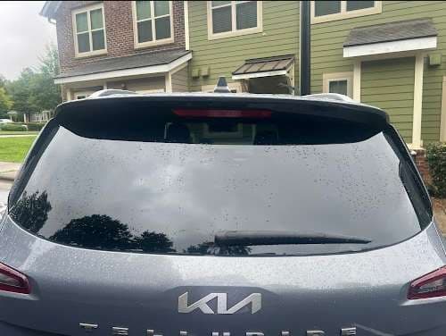 Image of EZ-PZ Auto Glass