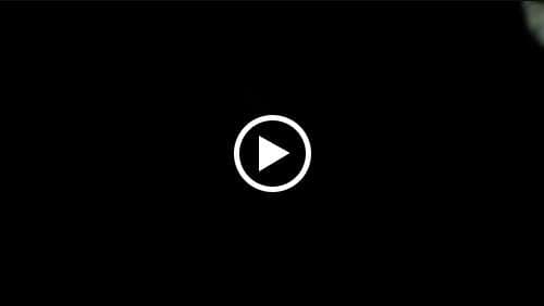 Image of Big Dog Auto Glass