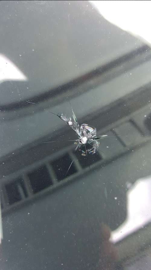 Image of 81 Auto Glass