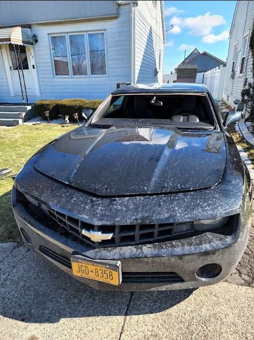 Image of Absolute Auto Glass