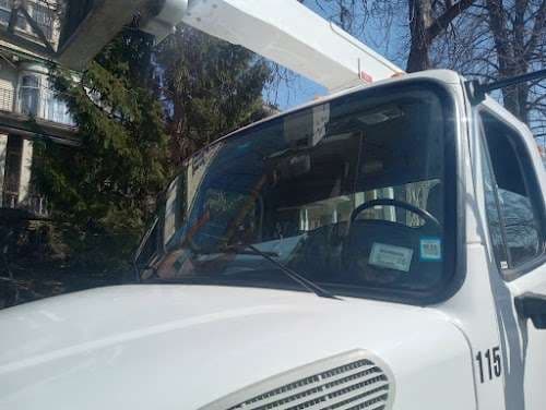 Image of Buffalo Windshield Chip and Crack Repair