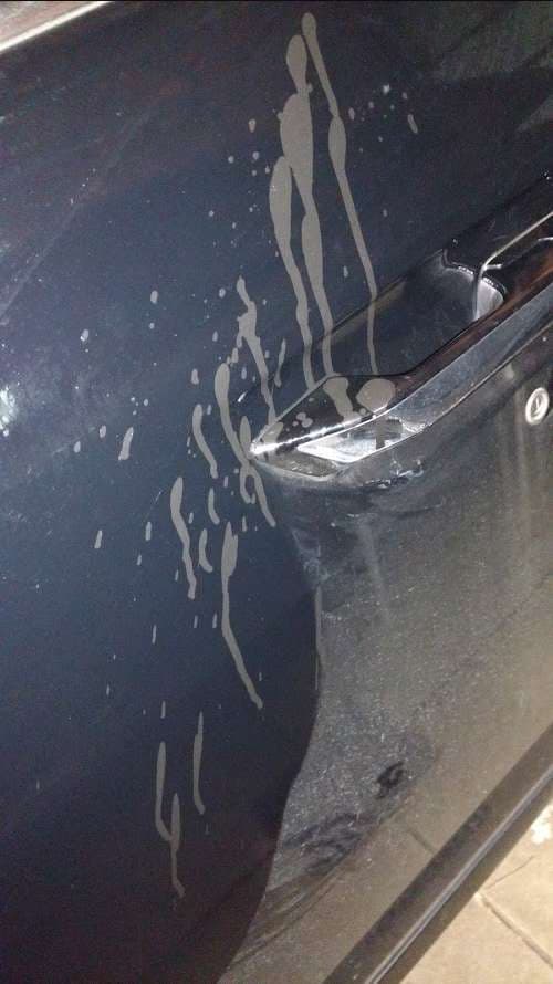 Image of Precision Auto Glass Ohio LLC