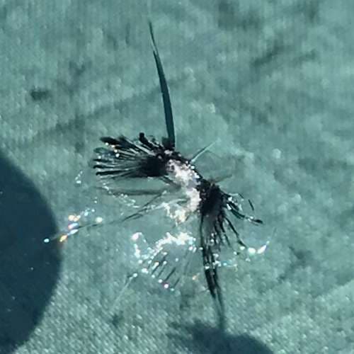 Image of Auto Glass Rescue