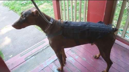 Image of State Auto Glass