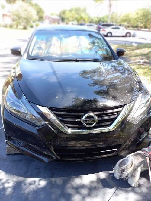 Image of Cato's Auto Glass