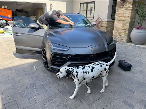 Image of Absolute Auto Glass