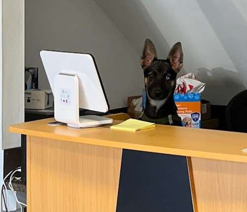 Image of Toto Auto Glass