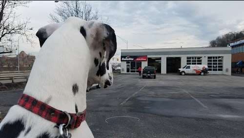 Image of Safelite AutoGlass